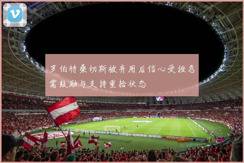 罗伯特桑切斯被弃用后信心受挫急需鼓励与支持重拾状态